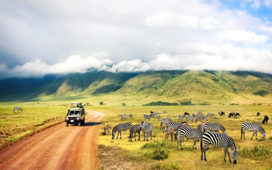 Save Money On African Safaris Using Points And Miles!